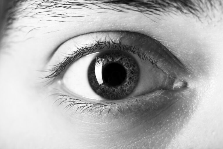 Un contrato con sus ojos