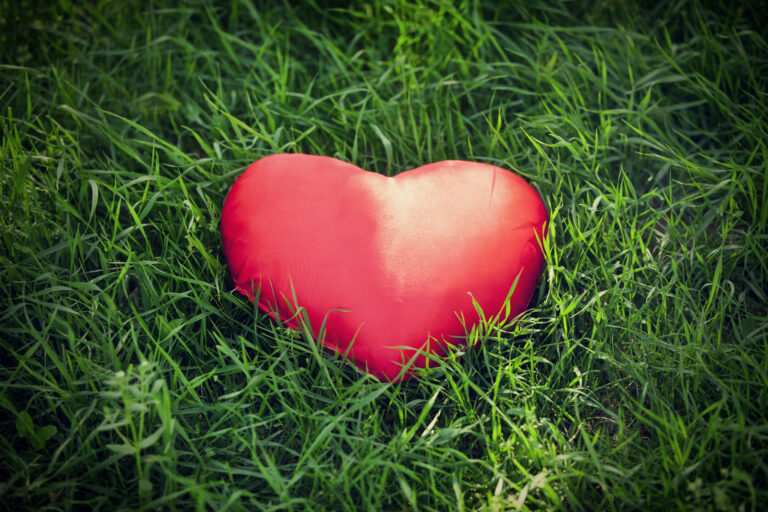Un Corazón fértil